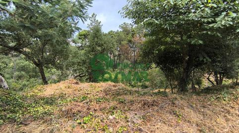 LOTE DE 10 PARCELAS EN LLORET BLAU, OPORTUNIDAD DE INVERSIÓN, imatge 3