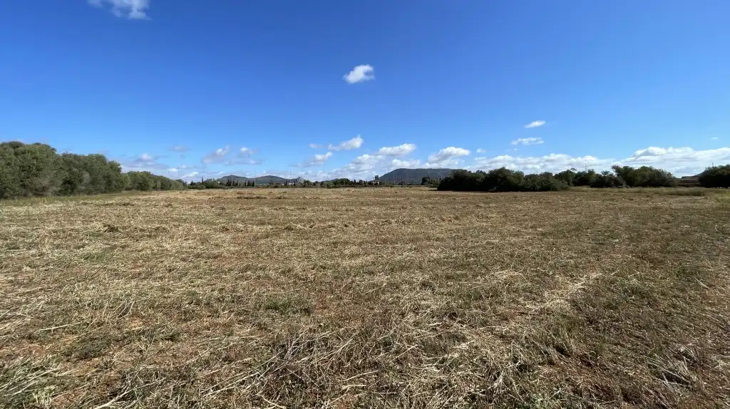 Terreno rustico in vendita a Llucmajor pueblo, imagen 4