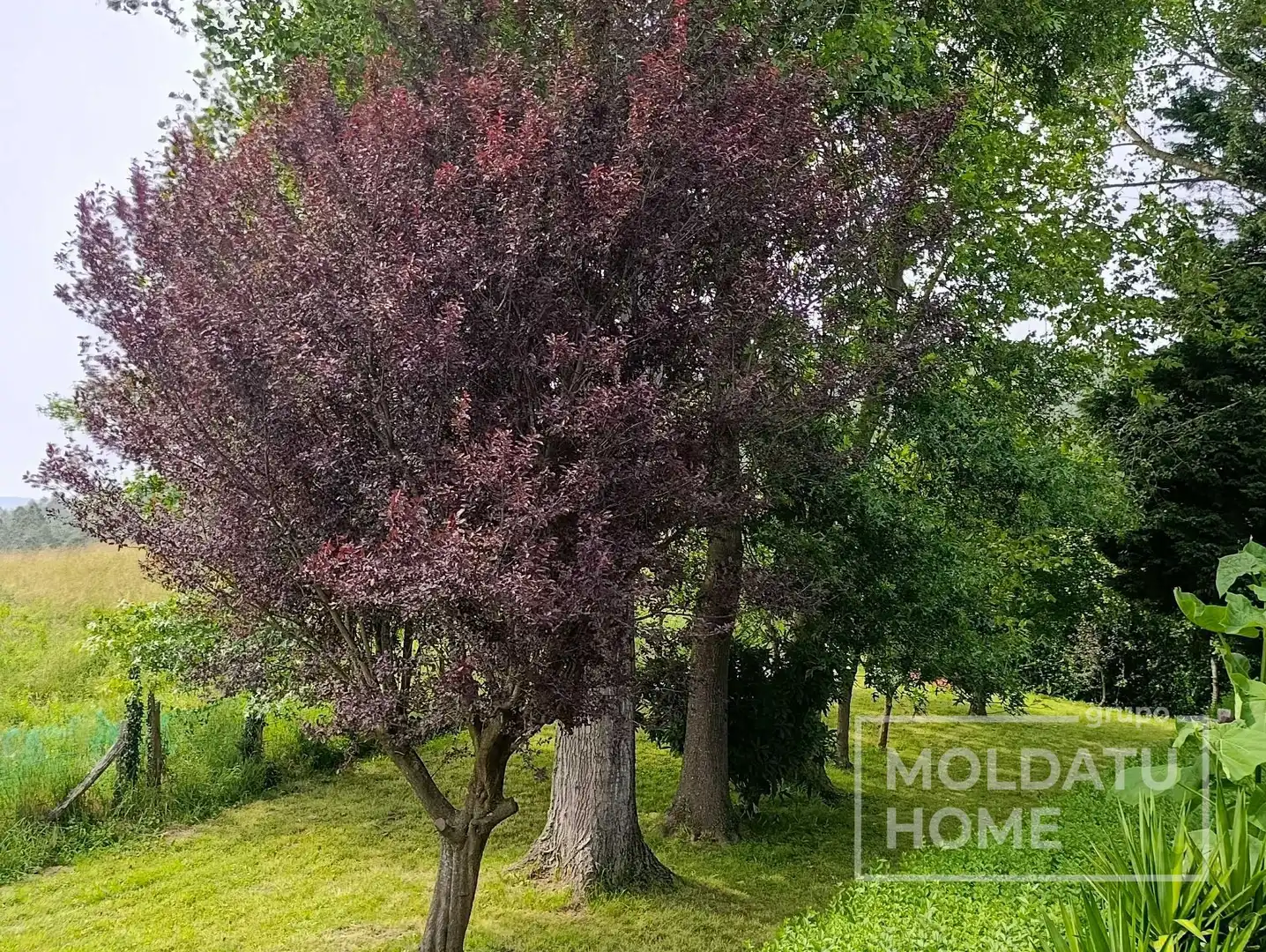Haus mit Garten zum Verkauf in Bedia, imagen 30