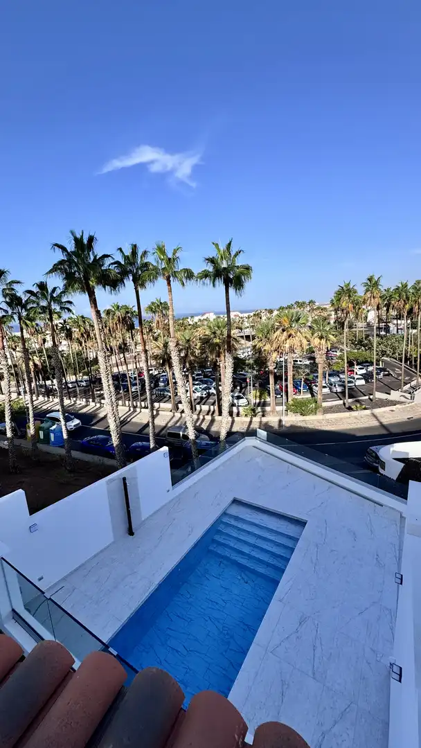 Vista exterior de Casa o chalet en venta en Adeje con Aire acondicionado, Jardín privado y Terraza