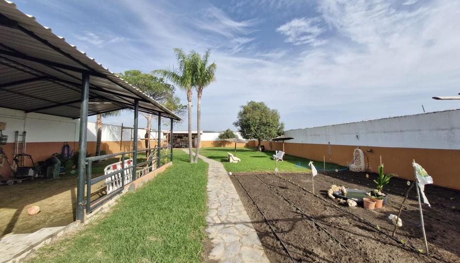 Foto 1 de Casa o xalet en venda a El Zabal - Santa Margarita, Cádiz