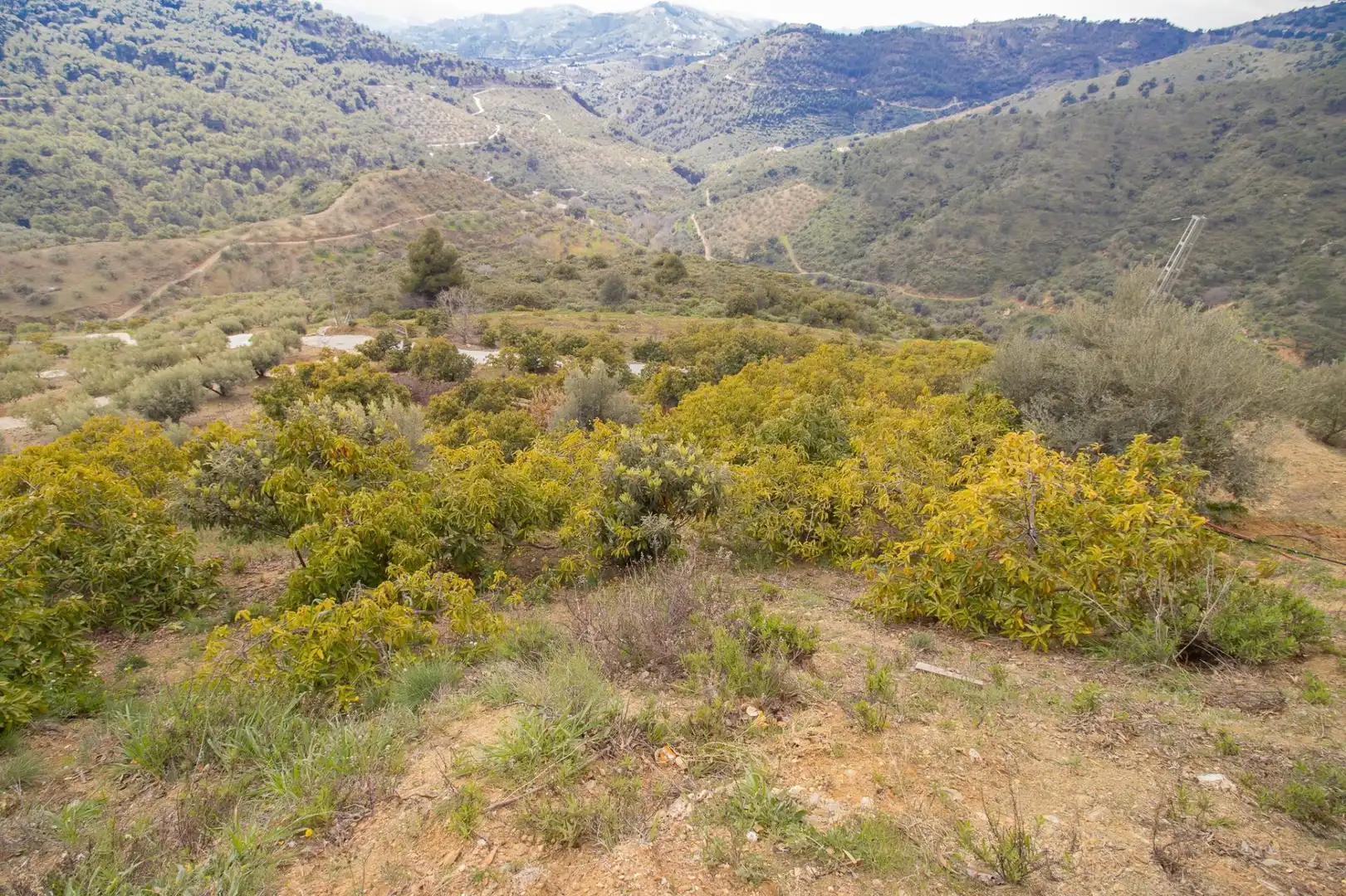 Casa o xalet en venda en Canillas de Albaida