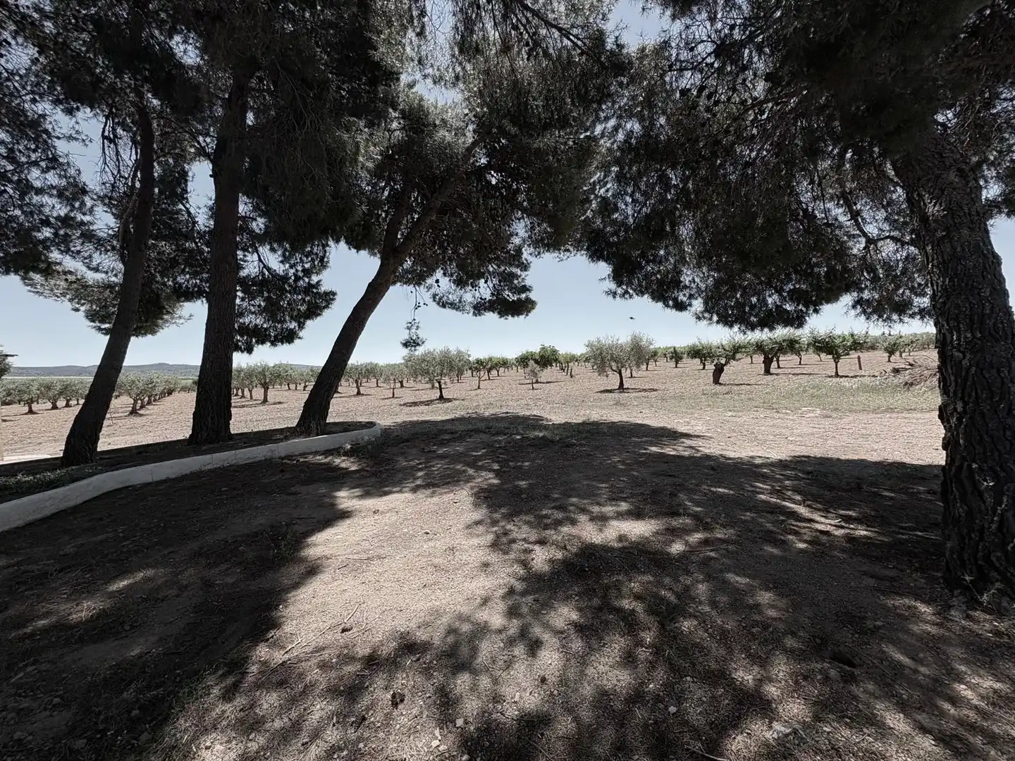 Houses for sale in Almansa  with Heating, Swimming Pool and Furnished