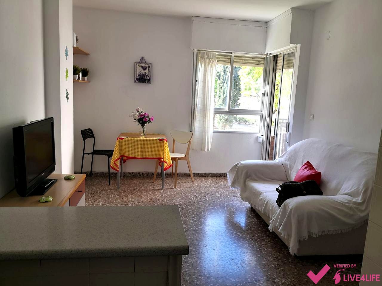 Living room of Flat for rent in  Valencia Capital