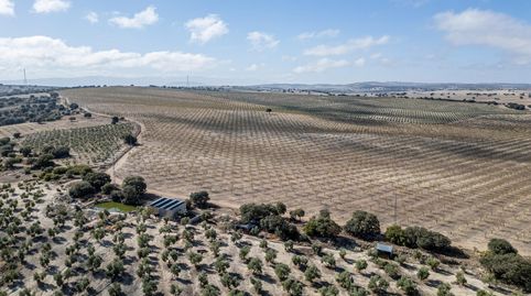 Photo 5 of Land for sale in Polígono 9 Paraje 34 Cejo, Alamedilla, Granada