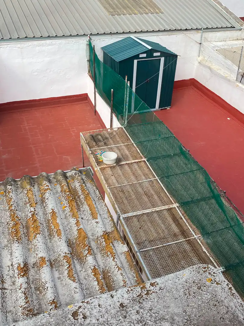 Casa con terraza en venta en Carrer del Cronista Muntaner 34, imagen 17