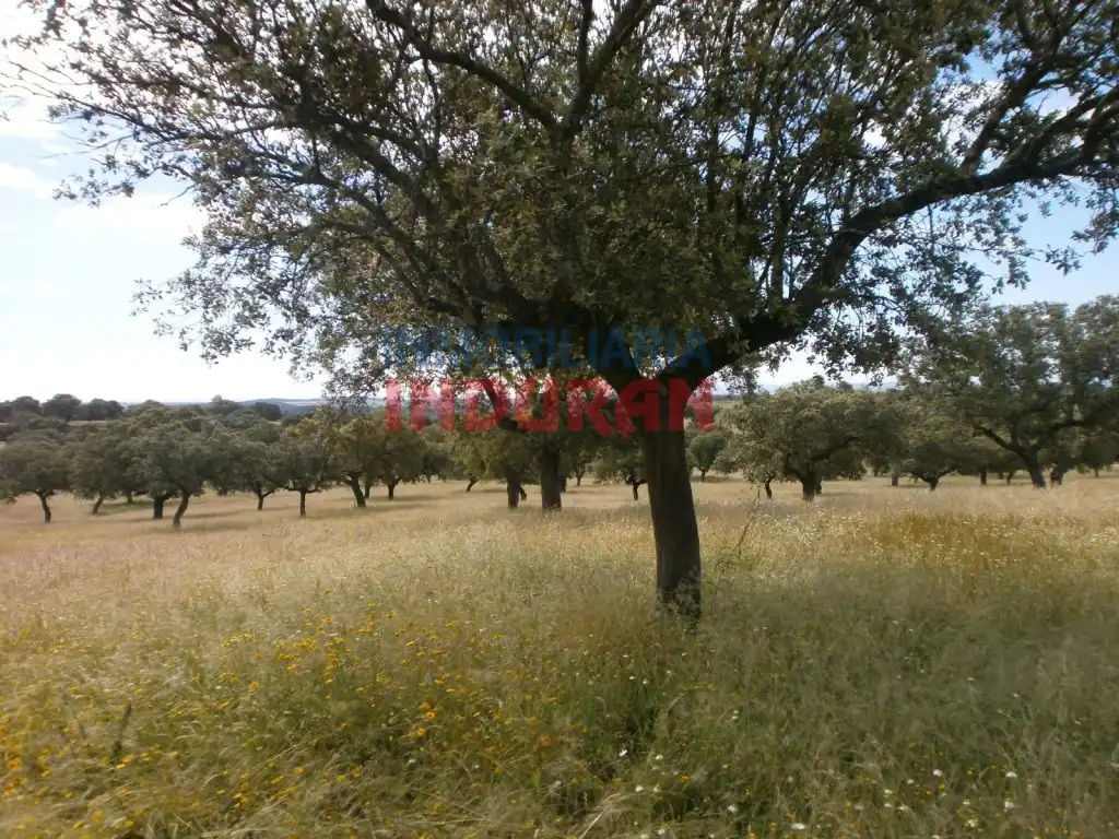 Casa rústica en venda a Malpartida de Plasencia, imagen 10