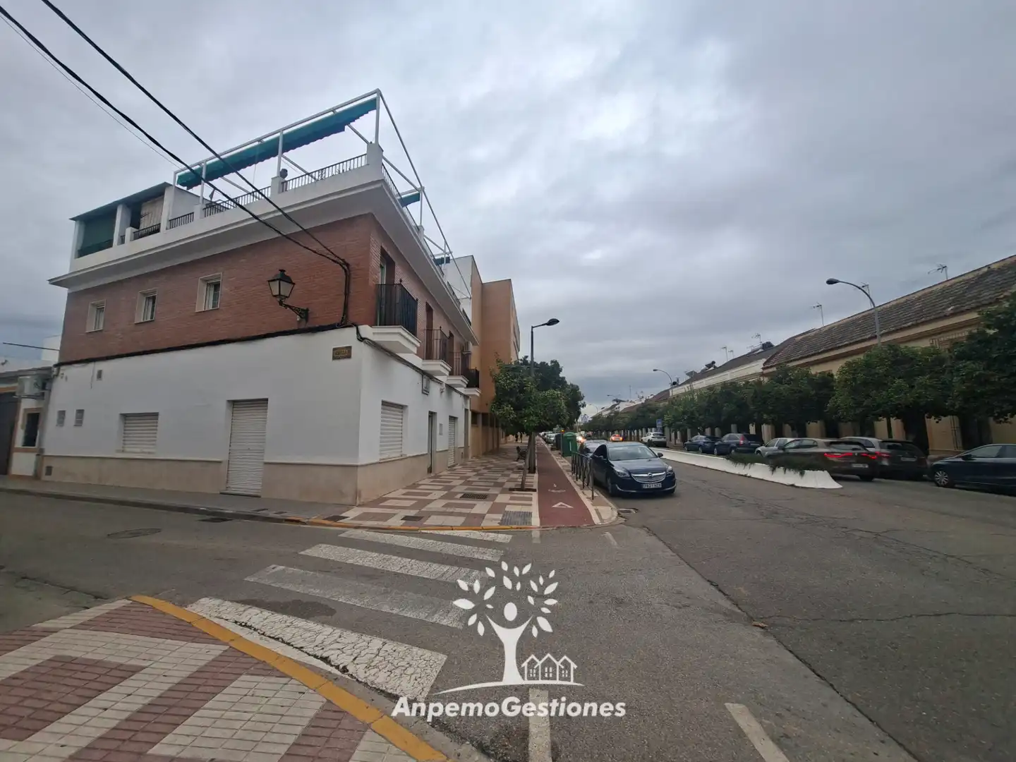 Vista exterior de Local de alquiler en Palma del Río