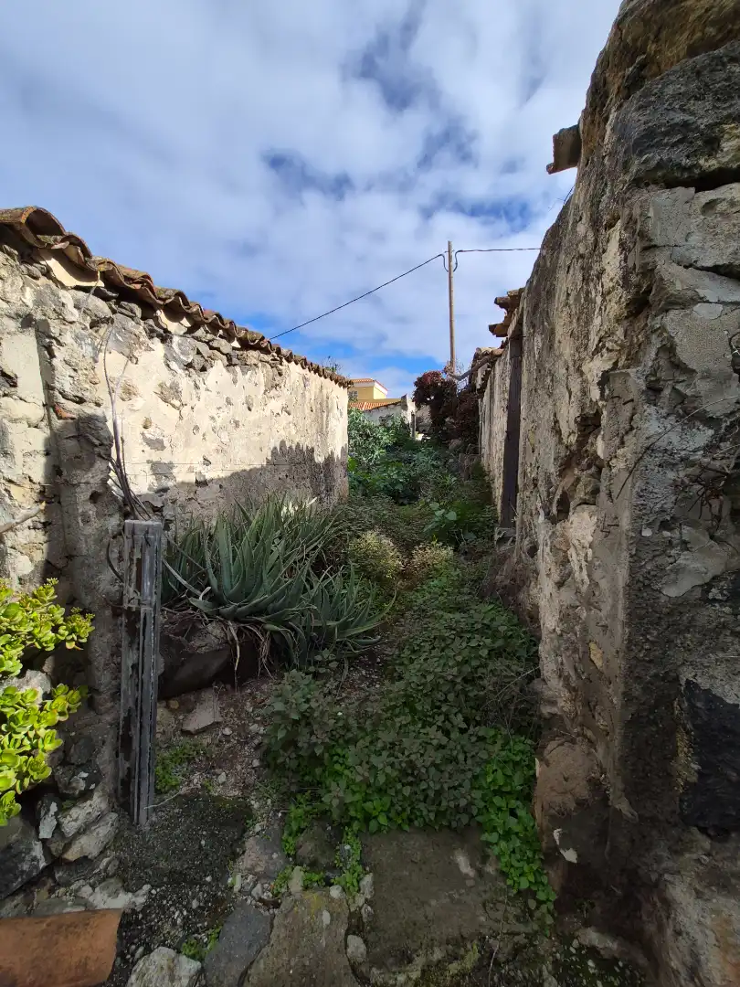 Rural land for sale in Camino la Cueva del Rey, imagen 36