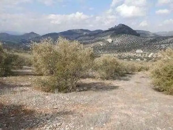 Terreni e lotti in vendita a Alcaudete, imagen 15
