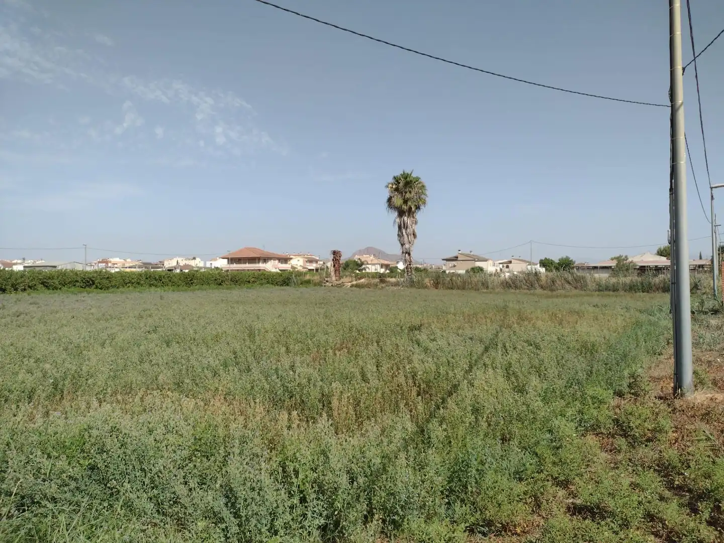 Terreny residencial en venda a Calle Vereda de Enmedio, imagen 9