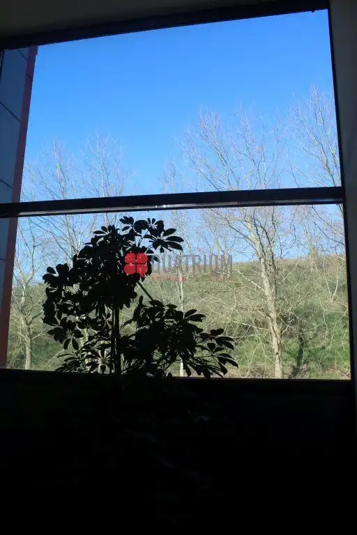 Nau industrial de lloguer a Rúa da República Checa, imagen 18