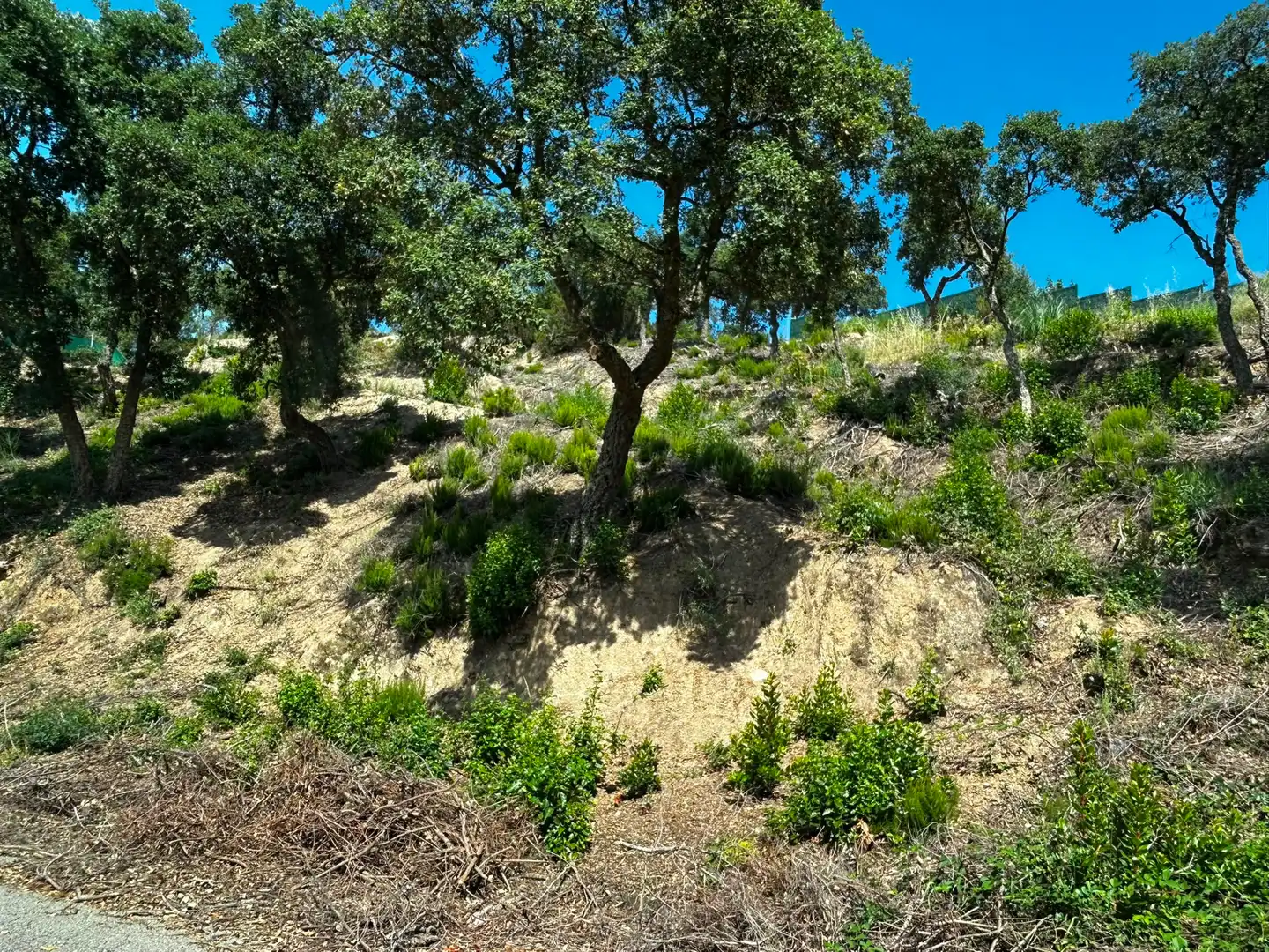 Terreno residencial en venta en Lloret Residencial - Montlloret, imagen 6