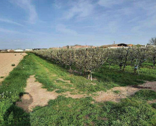 Terreny en venda en Alfaro