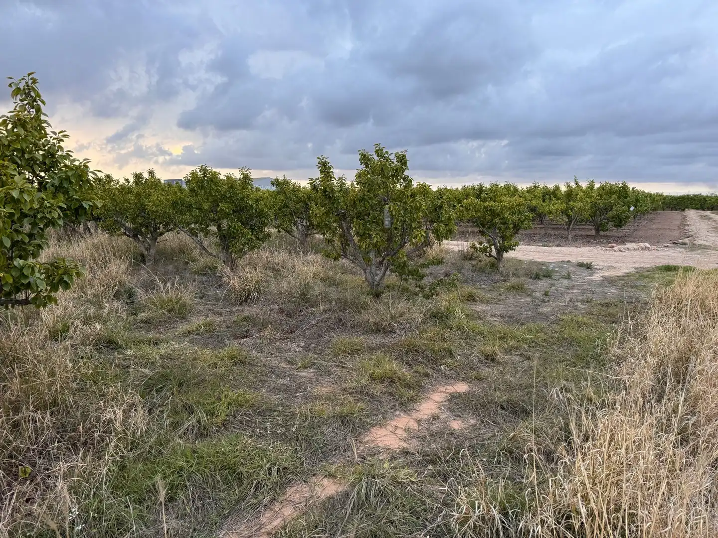 Terrenos y solares en venta en Polígono 10 Parcela 62, imagen 15