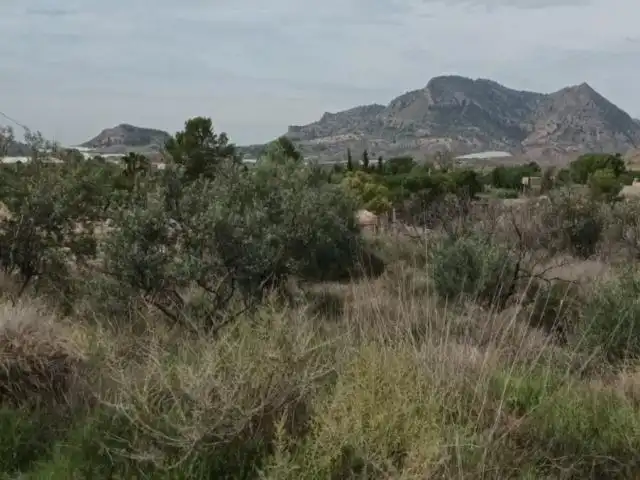 Terreny residencial en venda a Calle Verdegas, imagen 7
