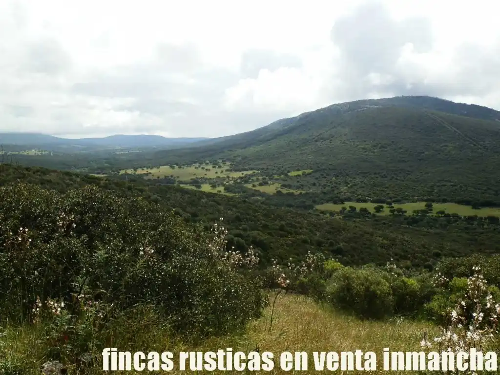 Terreno rústico en venta en Abenójar, imagen 16