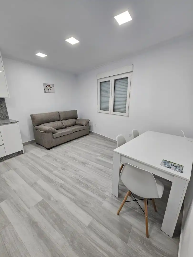 Sala d'estar de Àtic de lloguer en Ourense Capital  amb Calefacció
