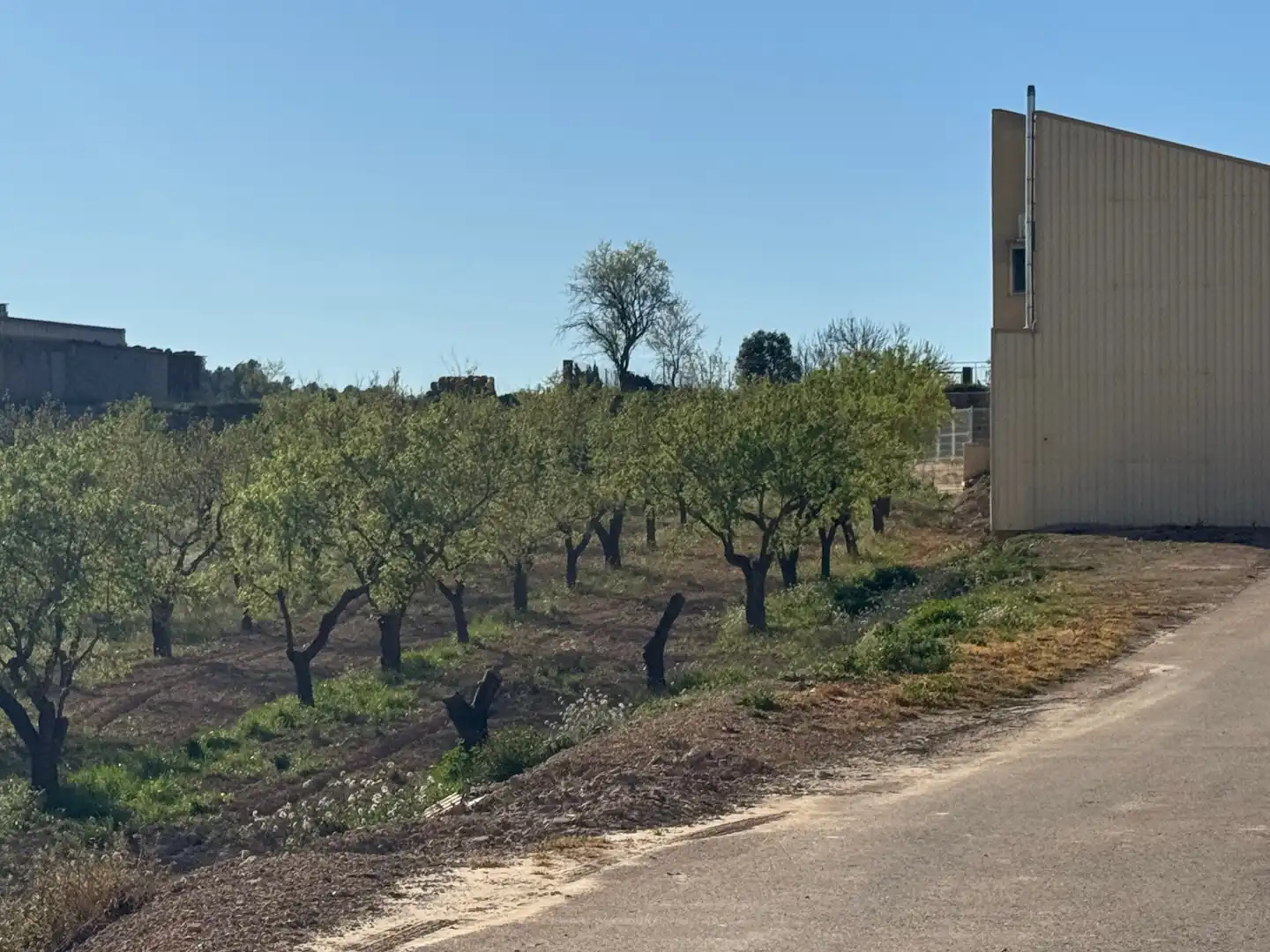 Terreni e lotti in vendita a Avenida la Virgen 10, imagen 6