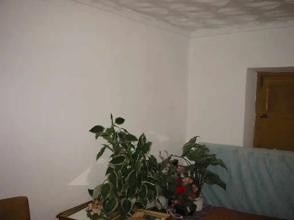 Maison rustique avec jardin à vendre à Pedanías Oeste, imagen 4