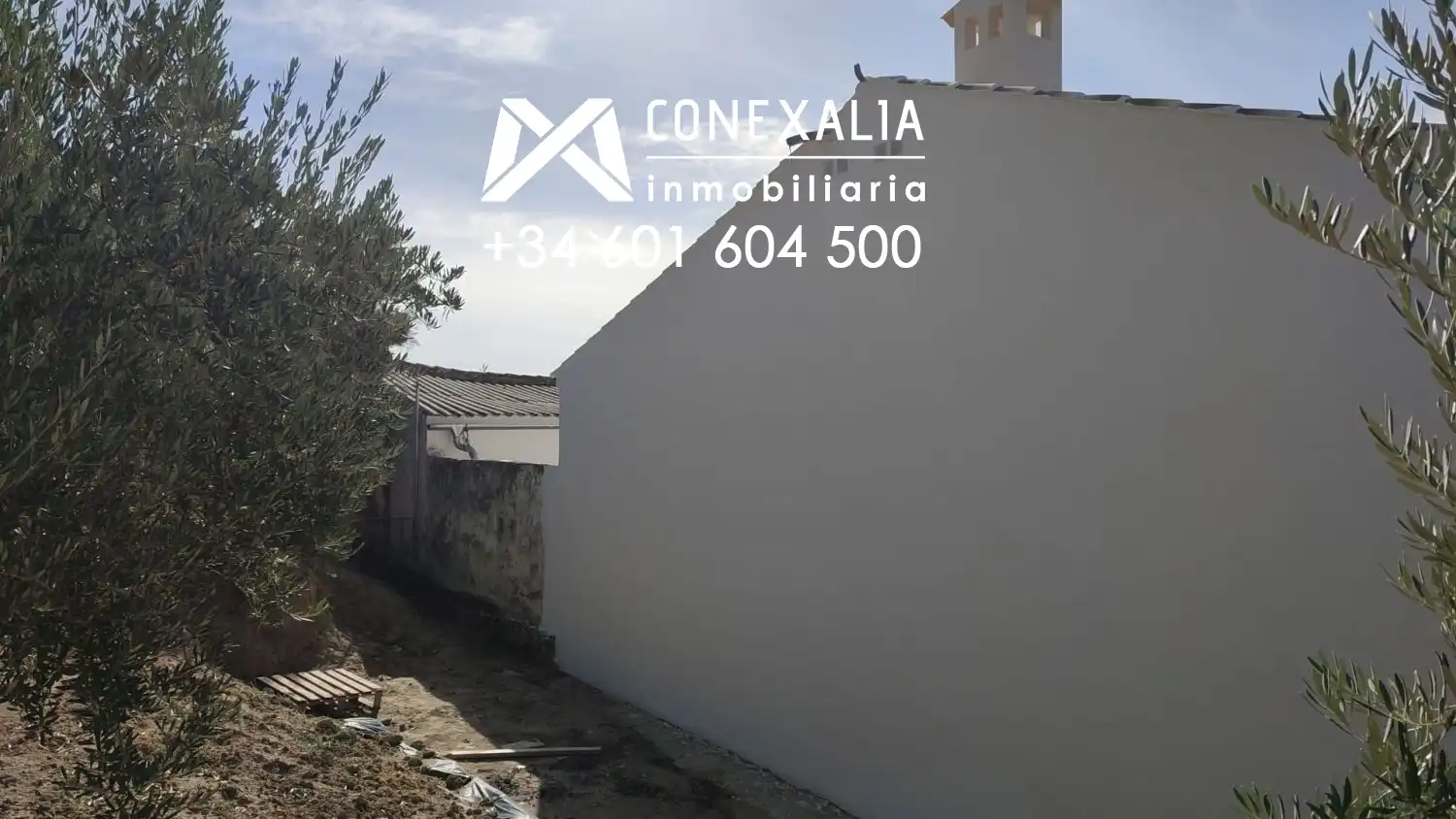 Country homes for sale in Alcalá del Valle