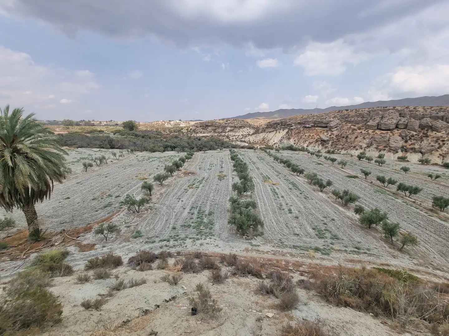 Rustikales Grundstück zum Verkauf in Tabernas, imagen 6