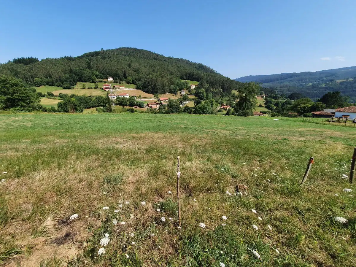 Terrenos y solares en venta en Salas