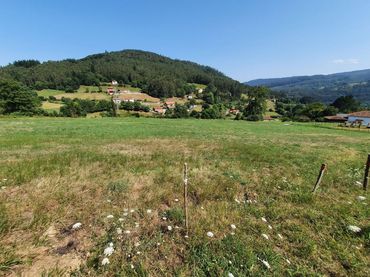 Terreni e lotti in vendita a Salas