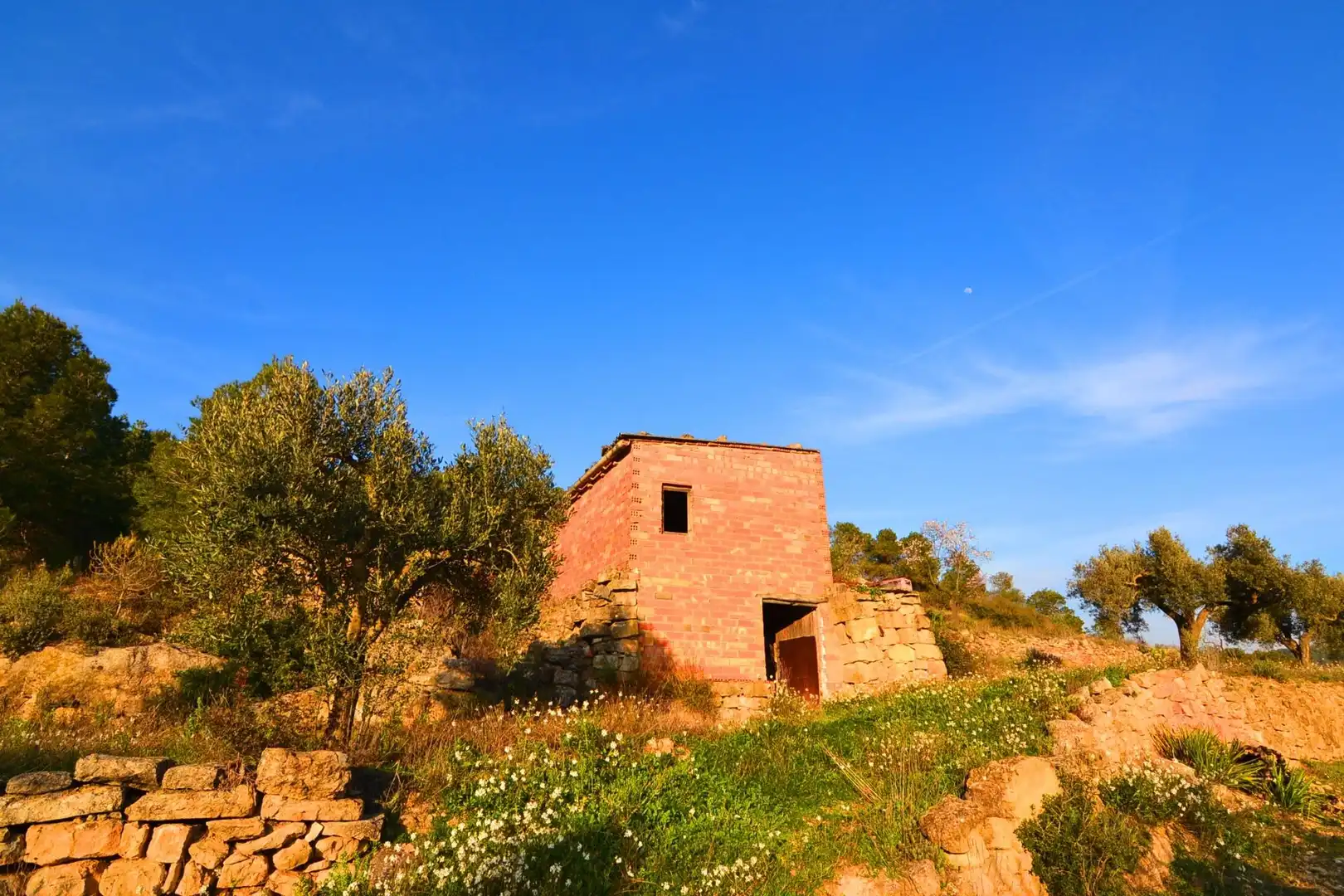 Rural land for sale in Corbera d'Ebre