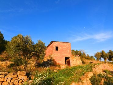 Terreno rústico en venta en Corbera d'Ebre