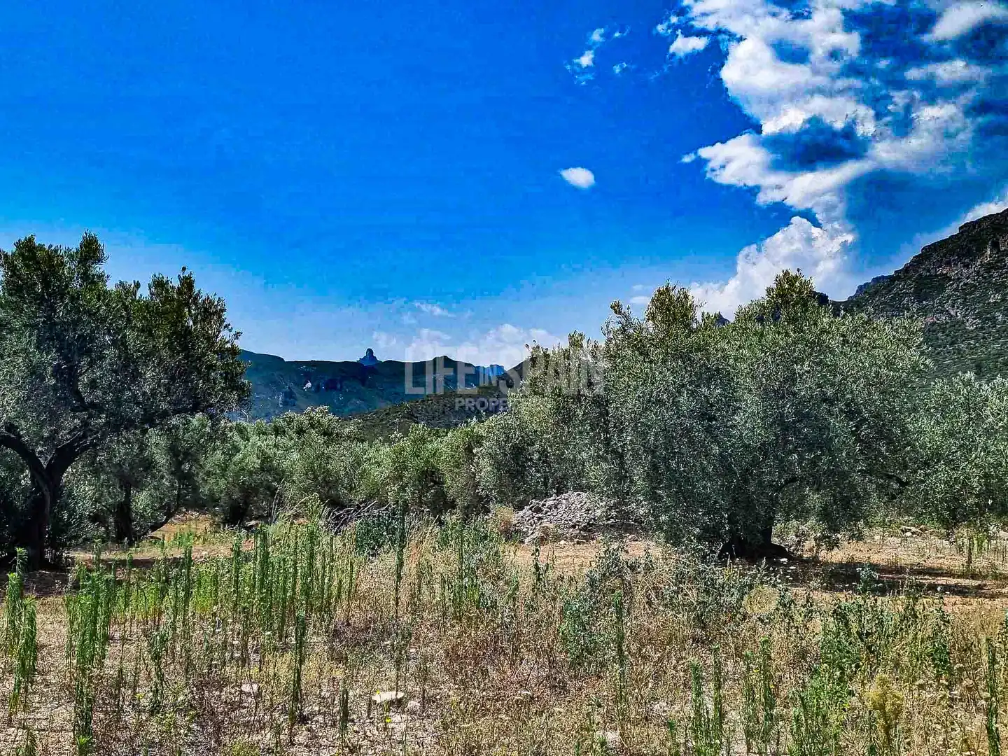 Maison rustique à vendre à Roquetes, imagen 3