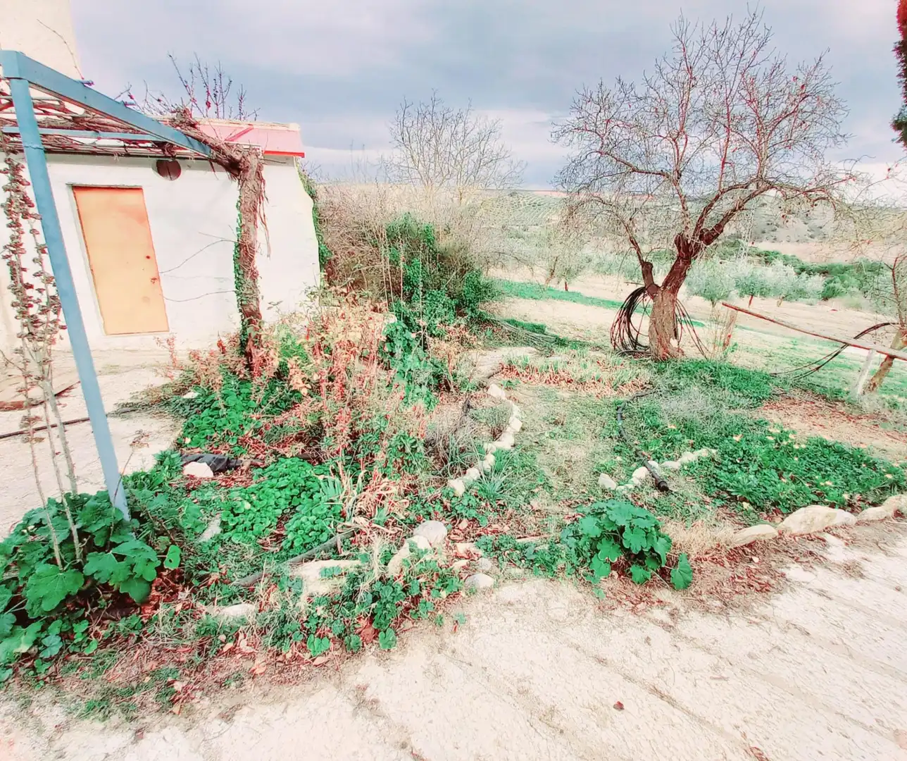 Terreni e lotti in vendita a Alhama de Granada, imagen 19