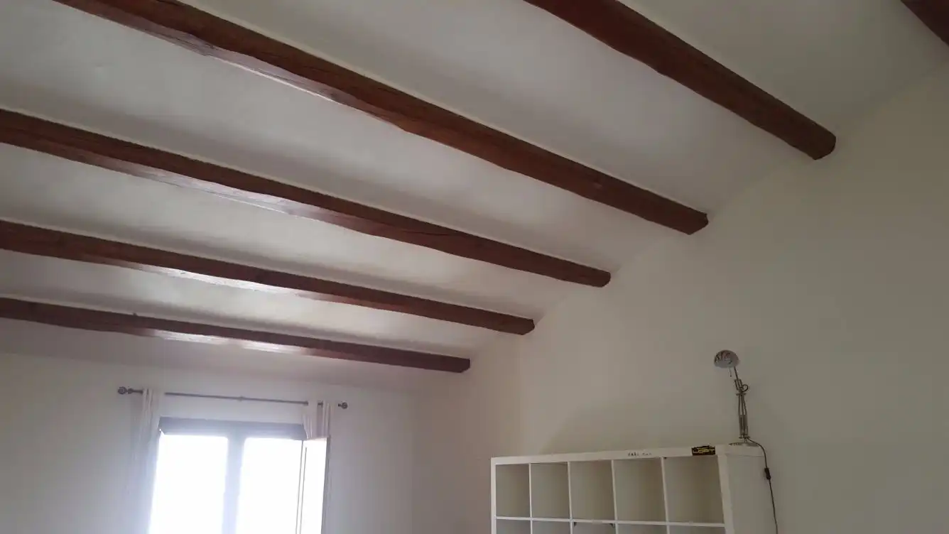 Detached homes for sale in La Punxa