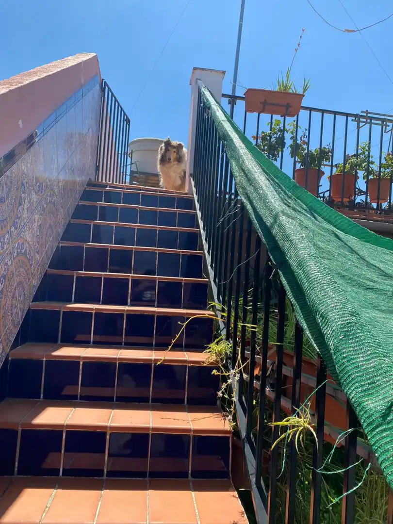 Casa amb terrassa en venda a SAN PEDRO 15, imagen 19