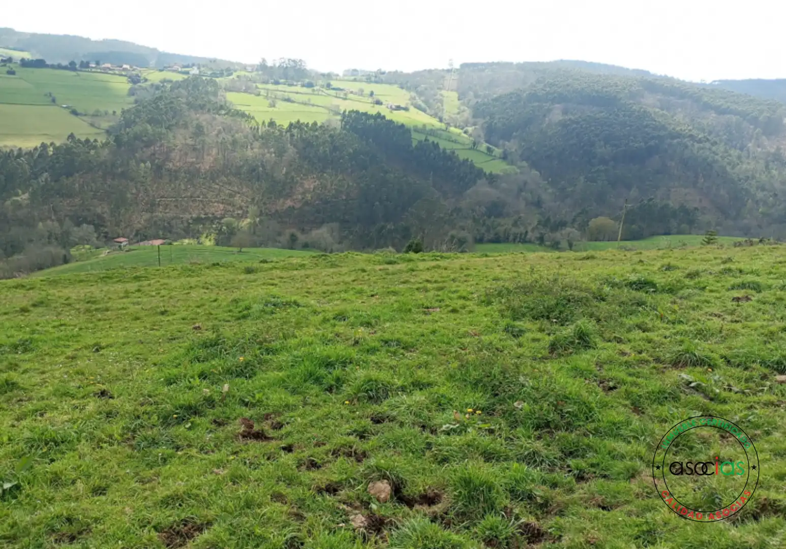 Wohnbaugrundstück zum Verkauf in Cudillero - La Tabla, imagen 3