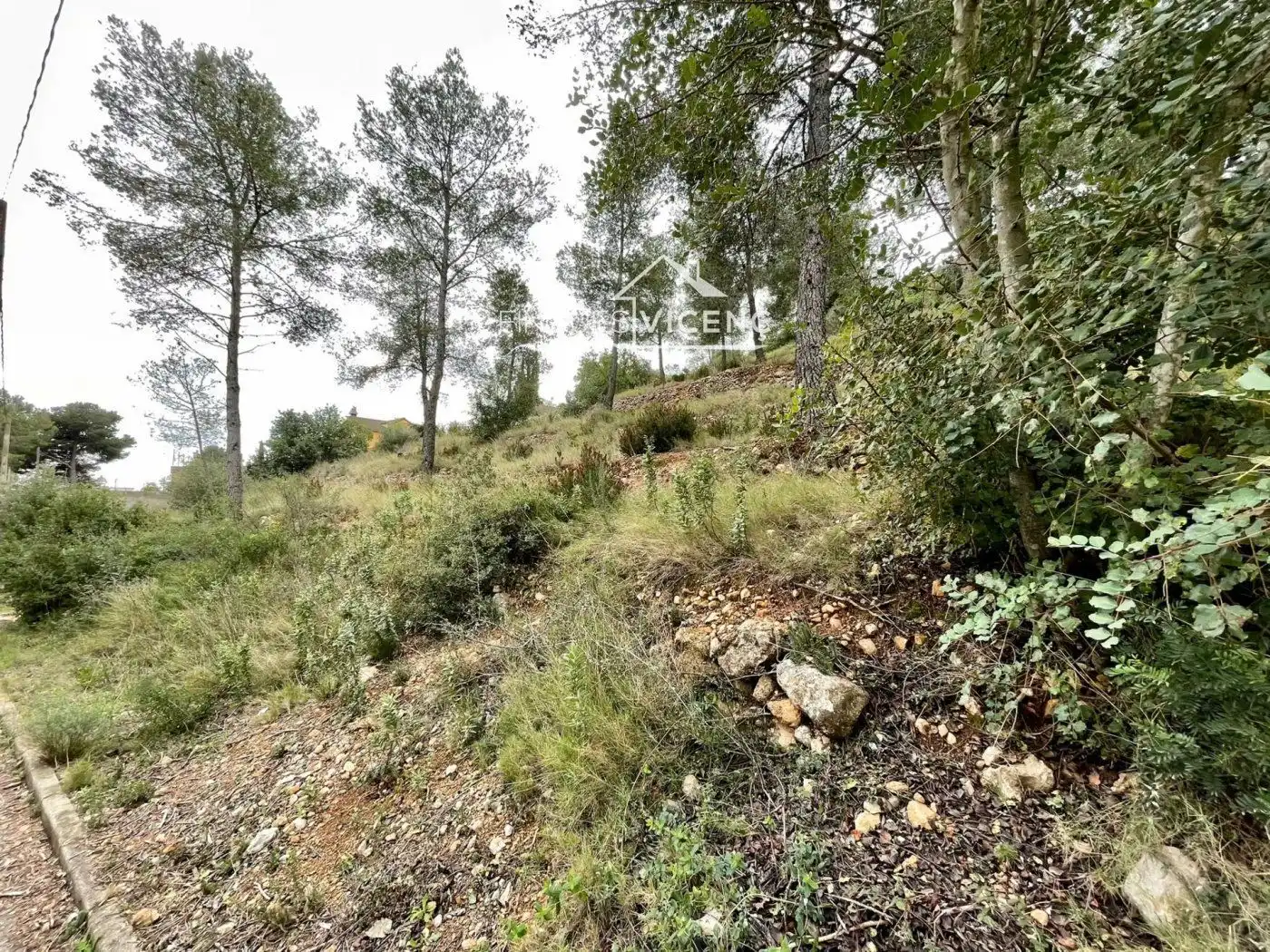 Rural land for sale in Segovia-Priorat, imagen 5