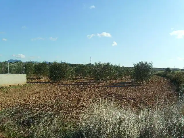 Land for sale in Vila-rodona