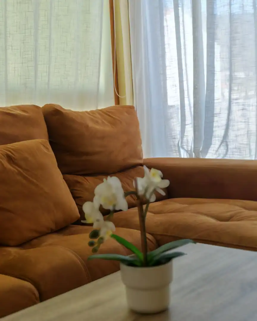 Sala de estar de Apartamento de alquiler en Fisterra con Trastero, Amueblado y Horno