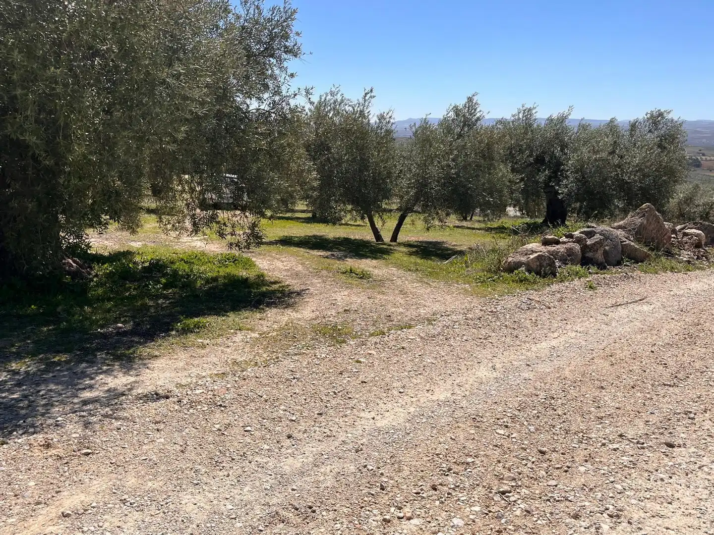 Rustikales Grundstück zum Verkauf in Íllora, imagen 19