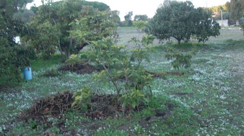 Finca Rúst. en venta en El Soto.