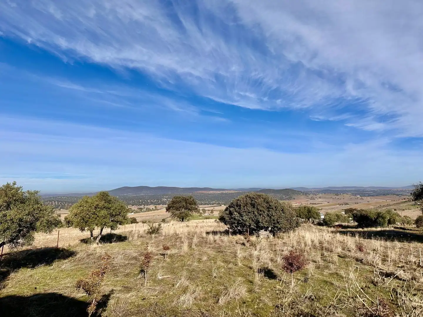 Rural land for sale in Fuente Obejuna