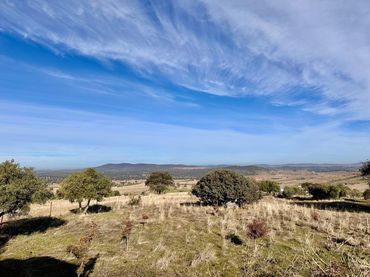 Rural land for sale in Fuente Obejuna