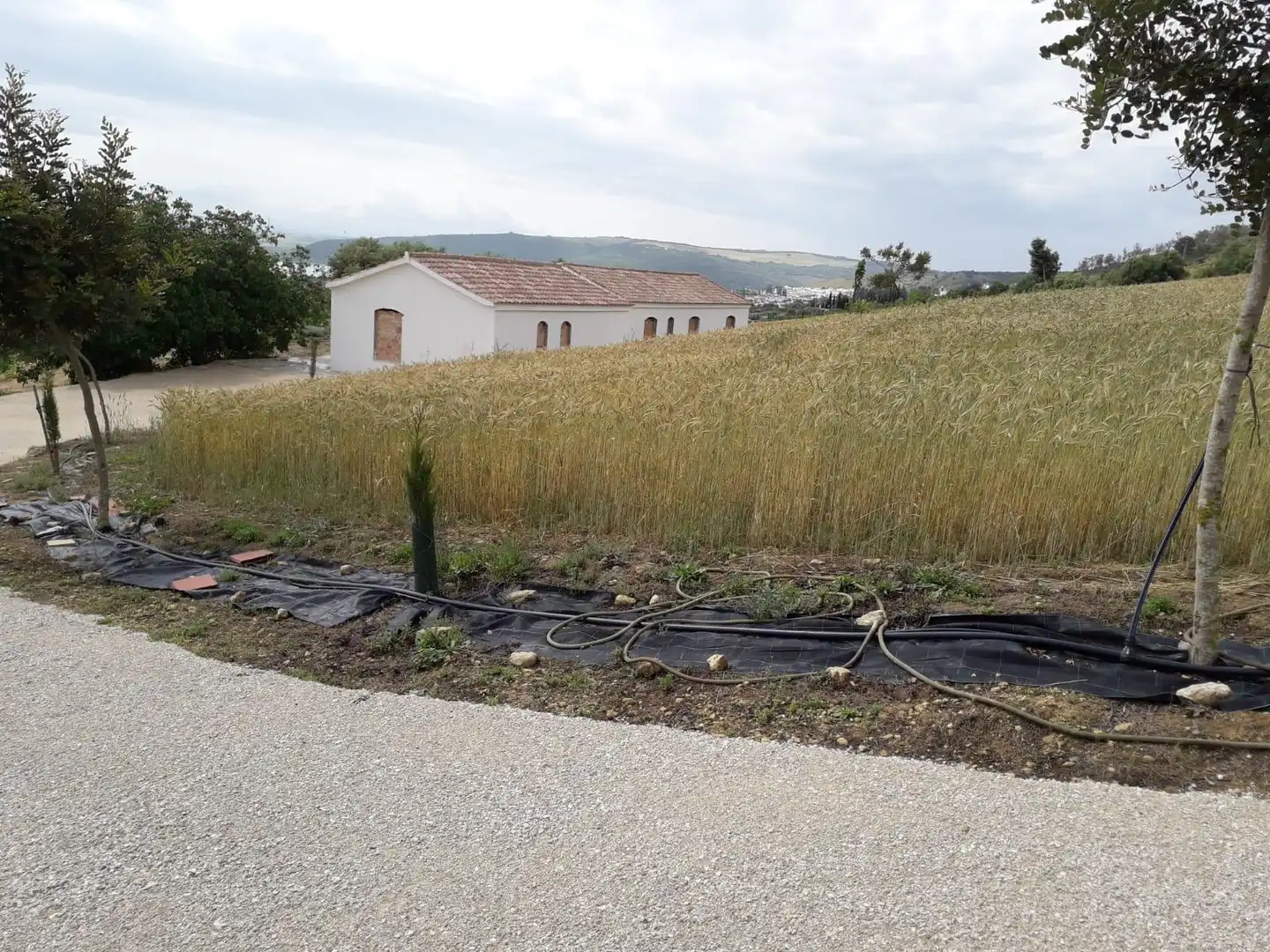 House for sale in Bornos, imagen 14