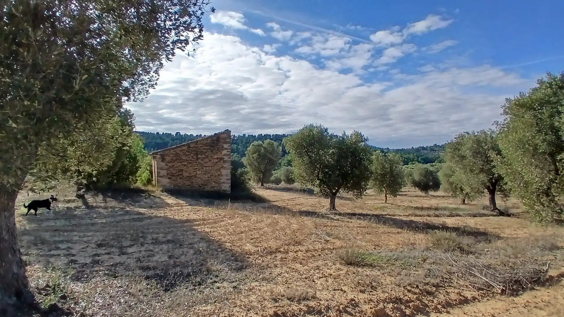 Terreni e lotti in vendita a Calaceite, imagen 4