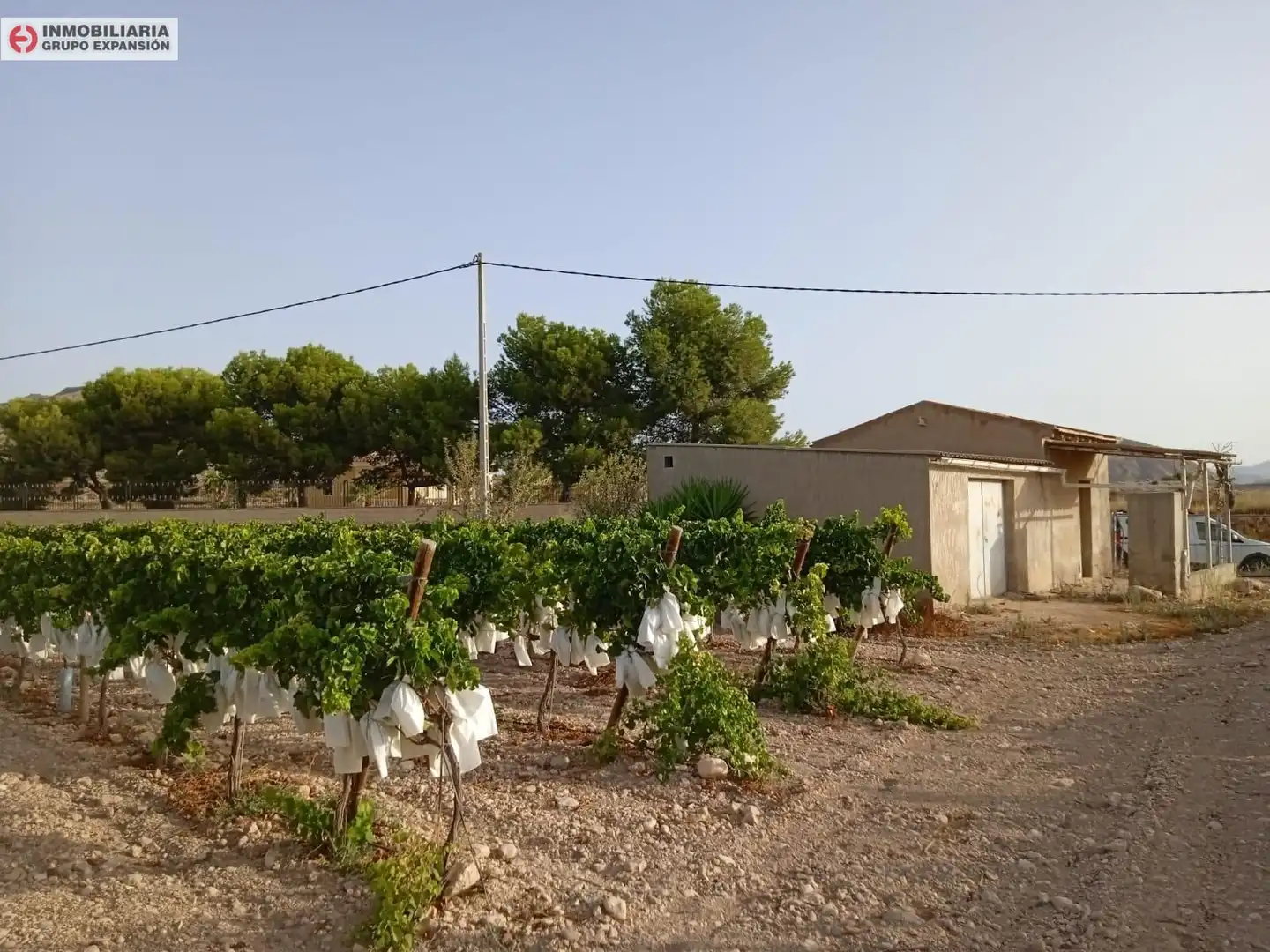 Casa o chalet en venta en Novelda con Jardín privado, Terraza y Trastero
