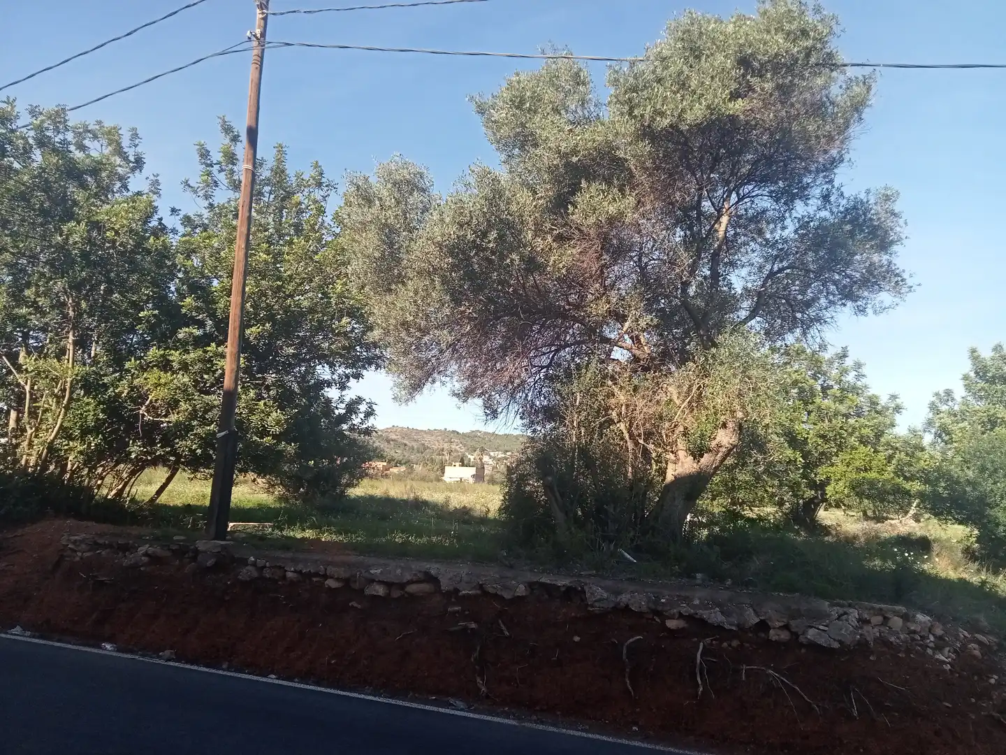 Terreno rustico in vendita a Oeste, imagen 2