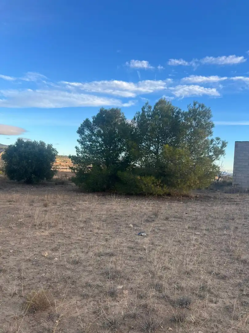 Rustikales Grundstück zum Verkauf in CABEZO ANIMAS 0, imagen 5