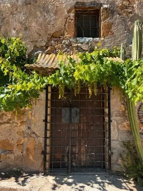 Finca rústica en venta en Bescanó