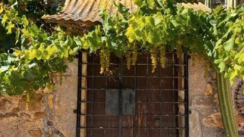 Photo 5 of Country house for sale in Bescanó, Girona