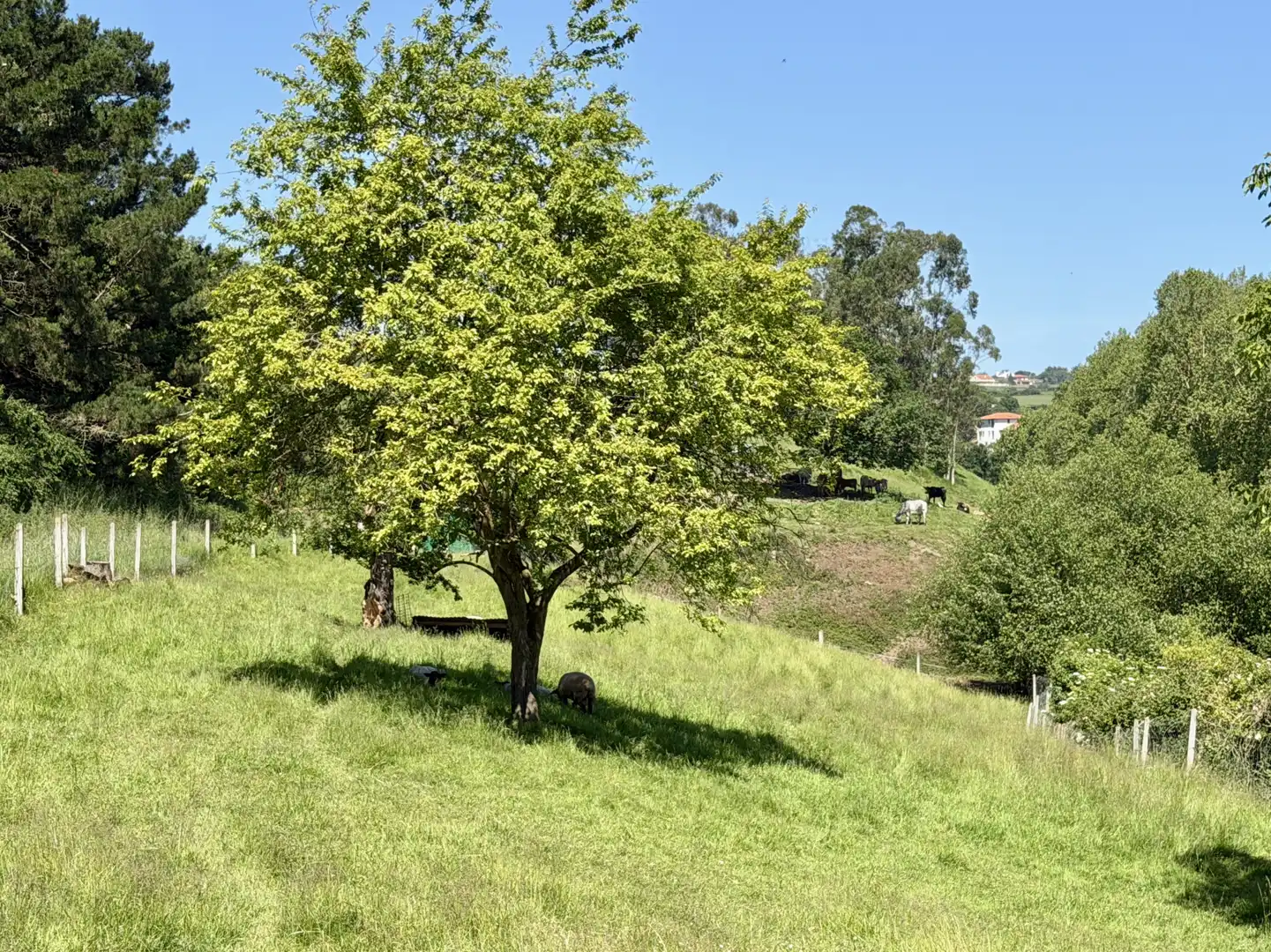 Casa amb jardí en venda a Queveda - BO QUEVEDA-MERMON 10, imagen 24